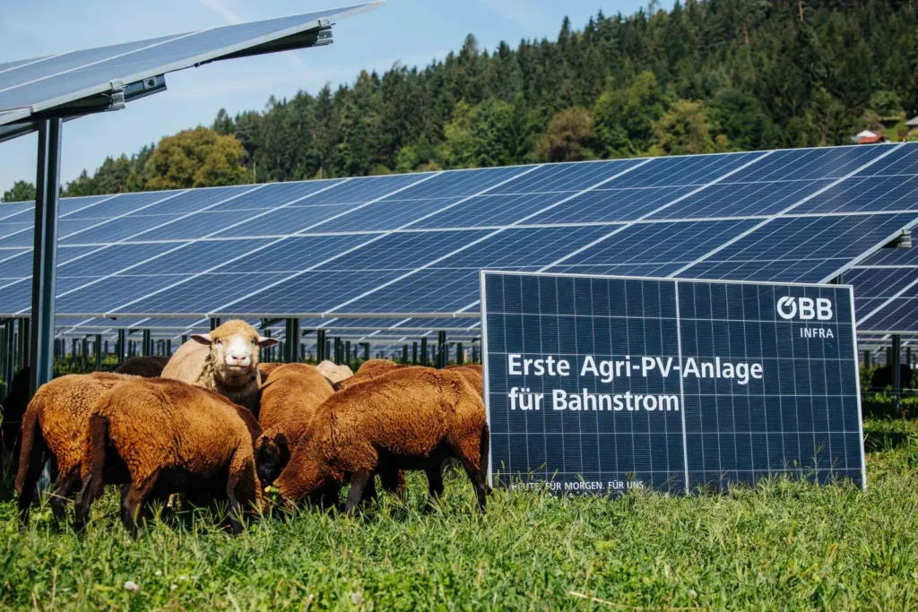 Exkursion ÖBB-Photovoltaik-Anlage Thalsdorf